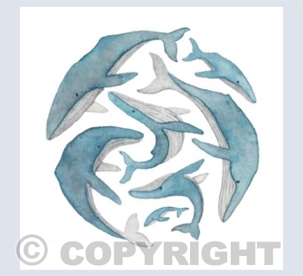 Watercolour Humpback Whales Circle
