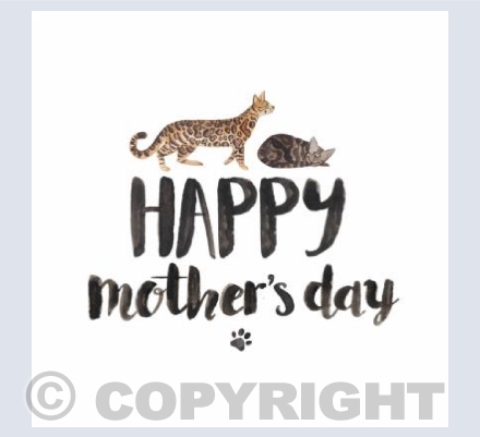 Bengal Cat Happy Mothers Day!