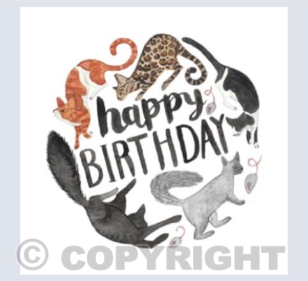Cat Birthday Card