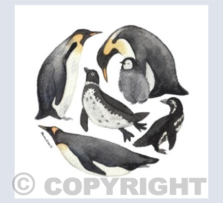 Watercolour Penguins