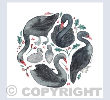 Seven Swans a Swimming