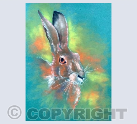 Hare