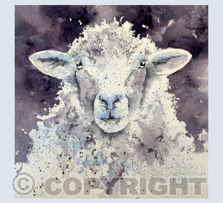 My coat's warmer than yours