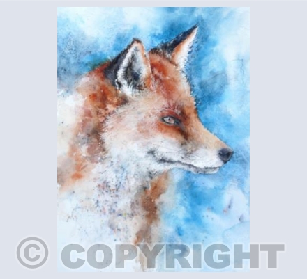 Rufus Fox