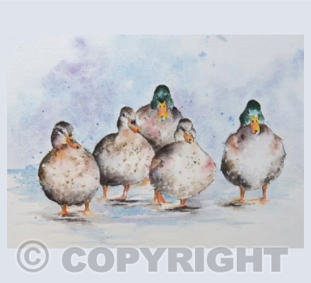 Reservoir Ducks