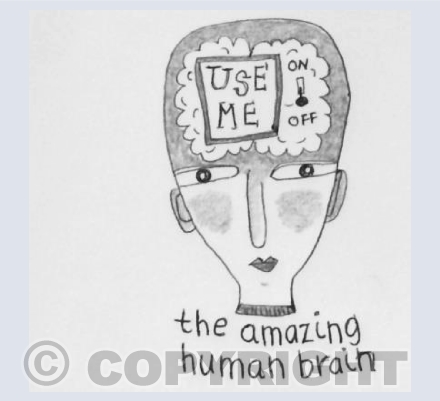 The Amazing Human Brain
