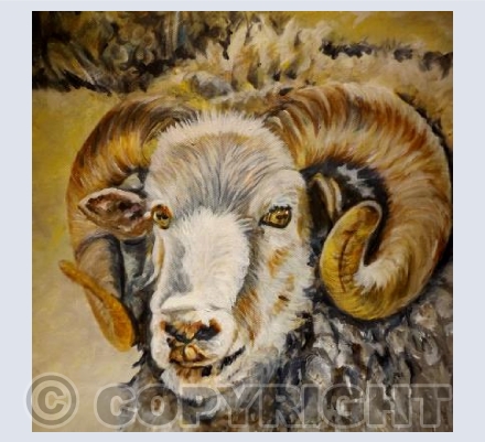 The Horny Ram