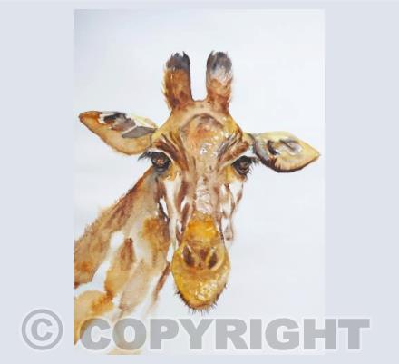 What's with the long face?