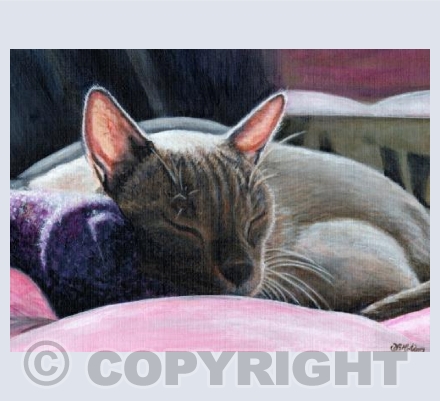 Contentment