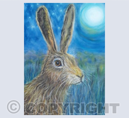 Moonlight Hare