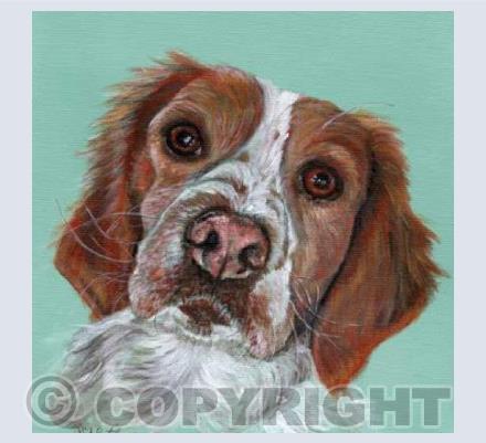 The Brittany