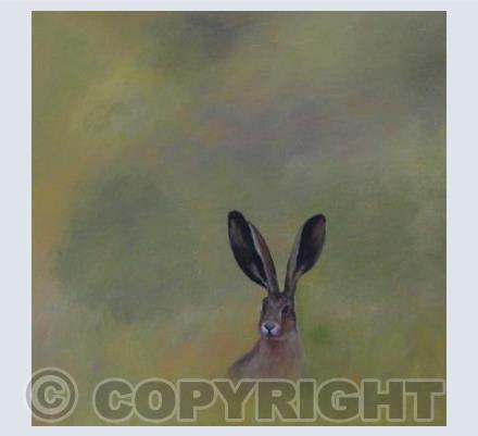 See Hare