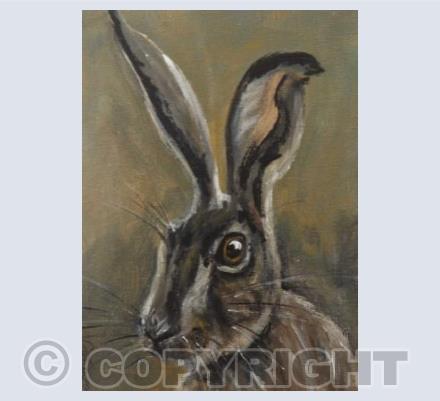 Brown Hare 2