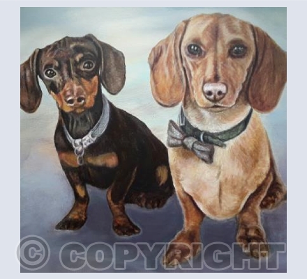 Dinky Daschunds