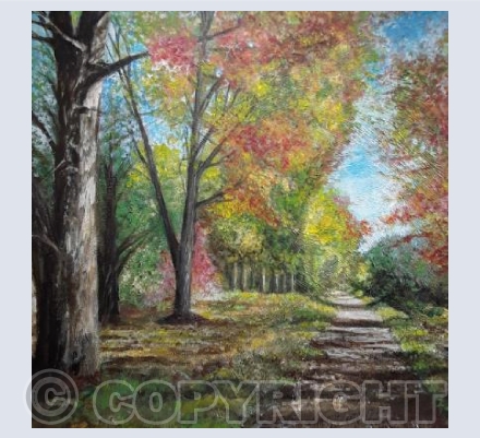 Autumn Woodland Walk