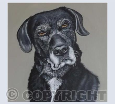 My Old Faithful Friend