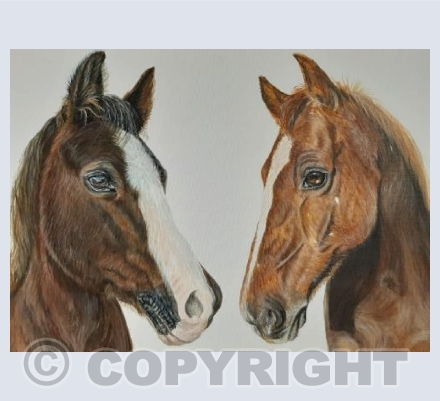 Horses