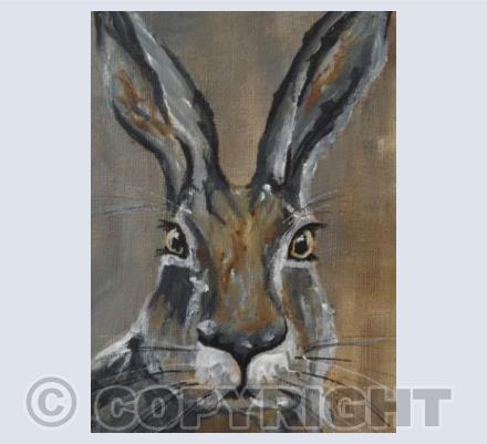 Brown Hare