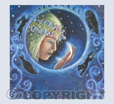 Light of the Moon