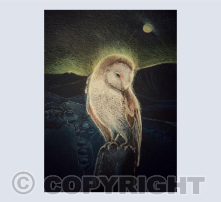 Night Owl