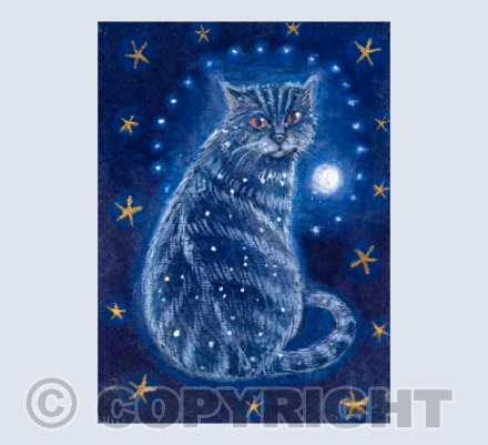 Magical Moonlight