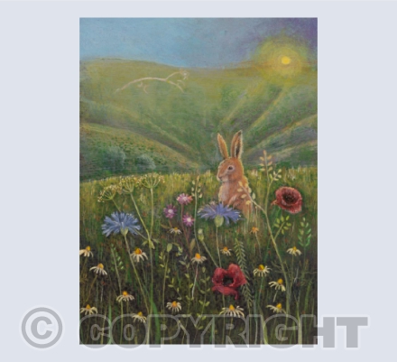 In the Meadow