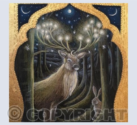 The Light of the Forest