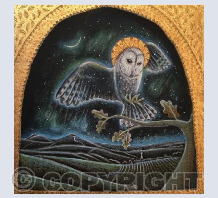 High Above the Plain