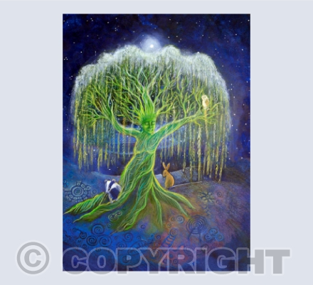 Rooted