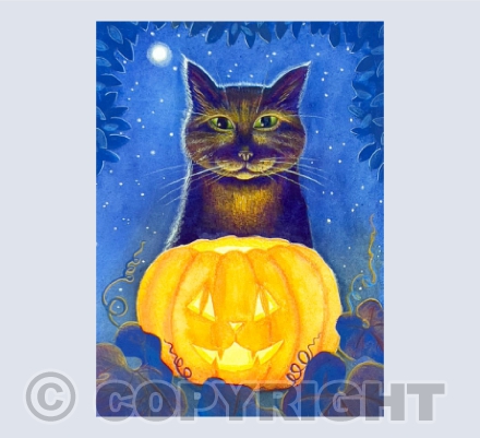 The Witch's Cat