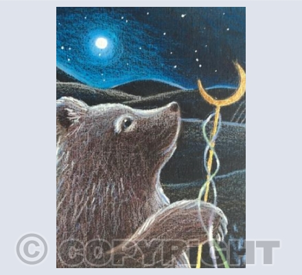 The Wayfarer Bear