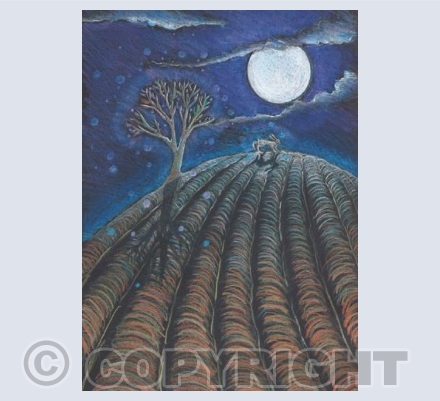 Moonlit furrow
