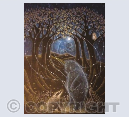 And he was made of Stars 2