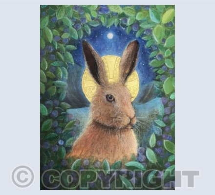 In the Valley of the Hare