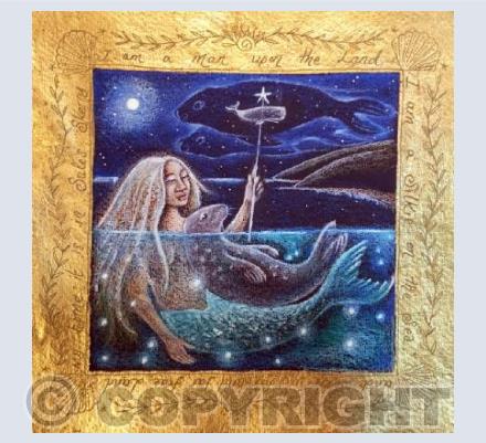 Selkie