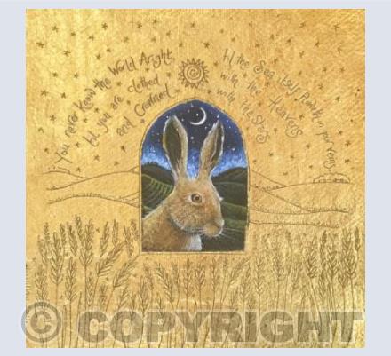 Window on the wild land