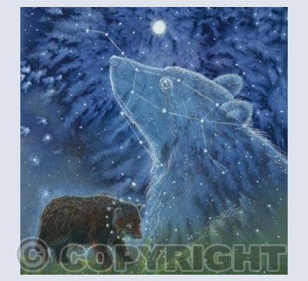 The Bear in the Stars