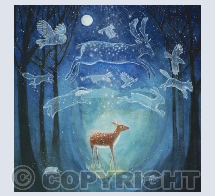 The Enchanted Forest