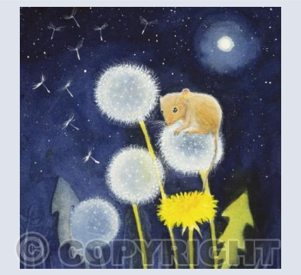 Dandelion Dreams