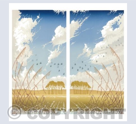 Fenland Sky