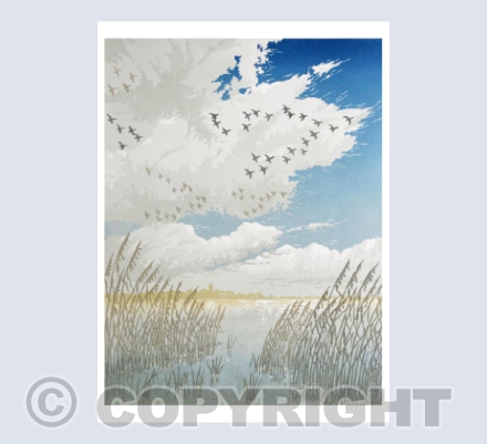 Winter Geese