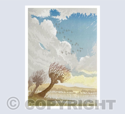 Pollarded Willow