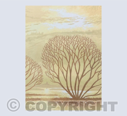 Willows