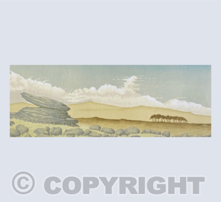 Belstone Summer