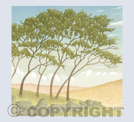 The Old Wall (detail)