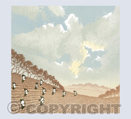 Lapwings (detail)