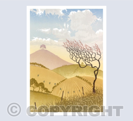Rolling Hills 2