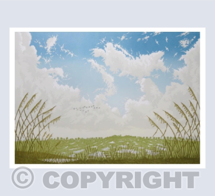 The Marsh