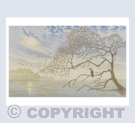 Spring Tide
