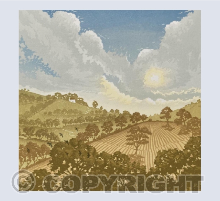 Where the furrow meets the sun